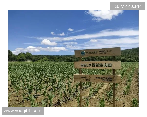 灰熊生态与行为研究：揭示北美森林中王者的生存智慧与挑战