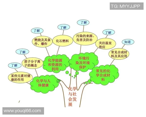 竞技体育发展趋势与未来挑战探析及其对社会影响的全面分析