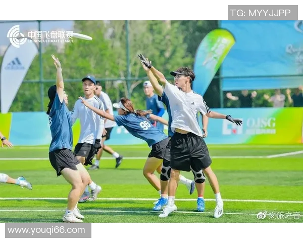 西安飞盘队运营分析:成功经验与面临挑战的深度探讨 西安飞盘队运营分析:成功经验与面临挑战的深度探讨