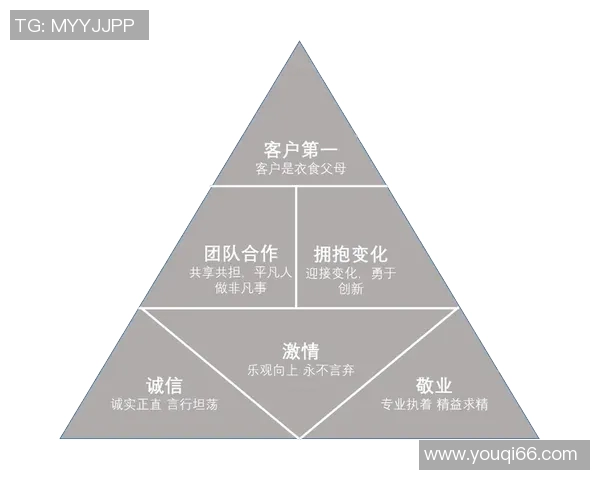 上海排球队在杯赛中的团队协作表现分析与启示