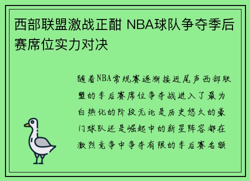 西部联盟激战正酣 NBA球队争夺季后赛席位实力对决